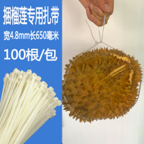 Bundled Durian Plastic Ties Lengthened 5 * 650 Width 4 8mm bundles 110 Lower water pipe Durian Tie