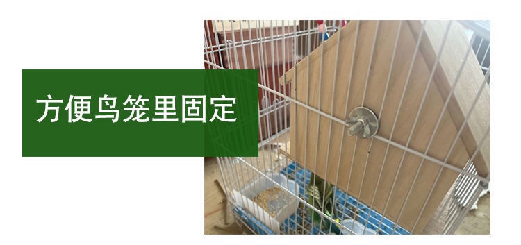 새둥지