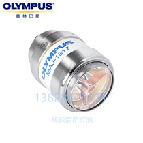 OLYMPUS Olympus 290 Electronic Endoscope Cold Light Bulb MAJ-1817 MAJ1817
