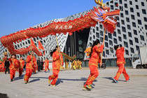 Dragon dance props Dragon dance lion dance National standard silk cloth dragon dance dragon light Professional dragon and lion competition dragon dance clothing