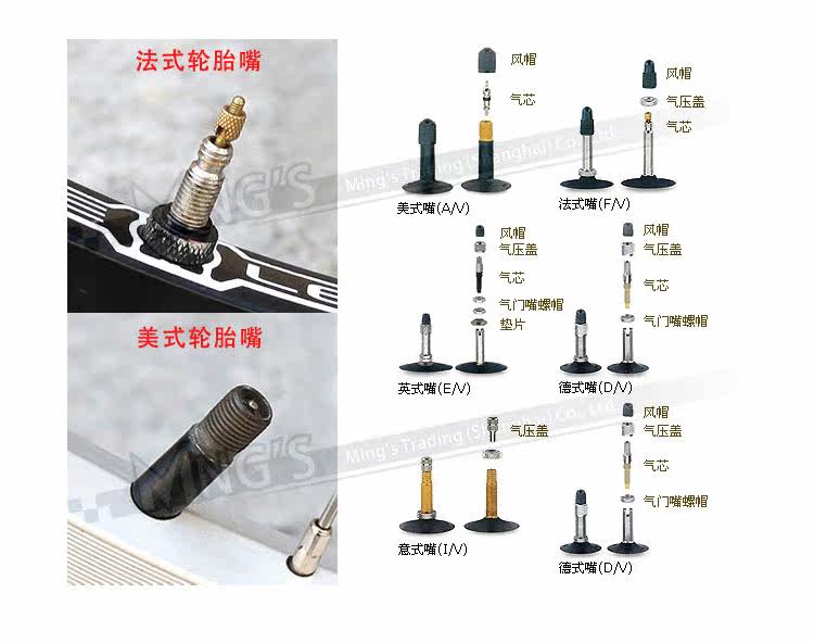 Pompe à vélo BETO - Ref 2388090 Image 9