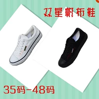 Giày vải đôi chính hãng đôi giày nam và nữ màu trắng giày tập gym nam