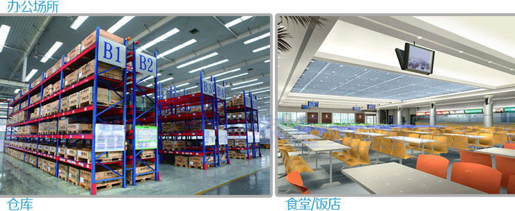 quạt trần Quạt trần 8 inch màu hồng cổ quạt quạt lắc đầu quạt điện hoài cổ 12 inch FT-30F4 mạ đồng rhodium - Quạt điện quạt điều hòa rapido 6000d