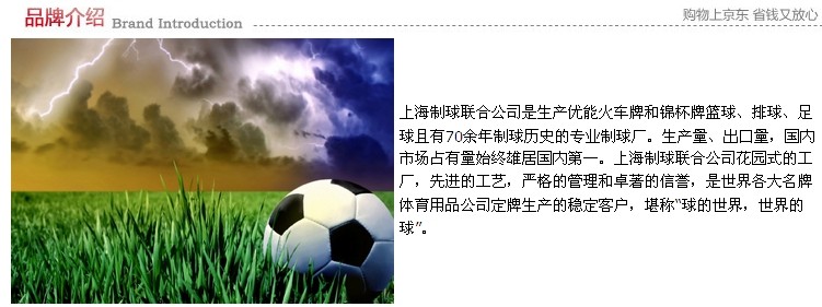 Ballon de foot - Ref 6705 Image 8