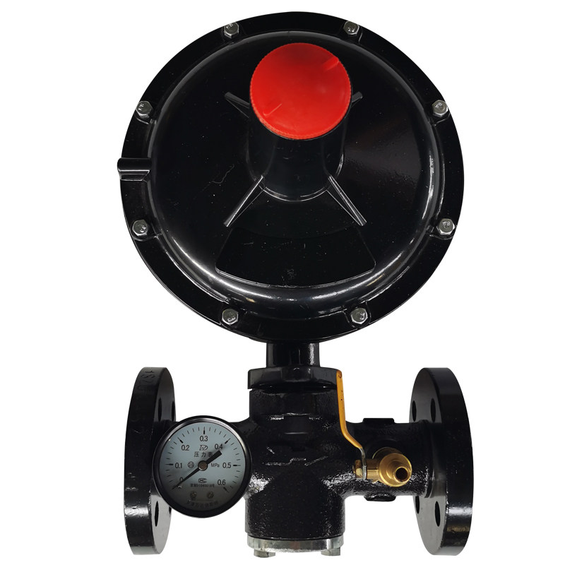 rtzf natural gas gas biogas pressure pressure regulator valve of the