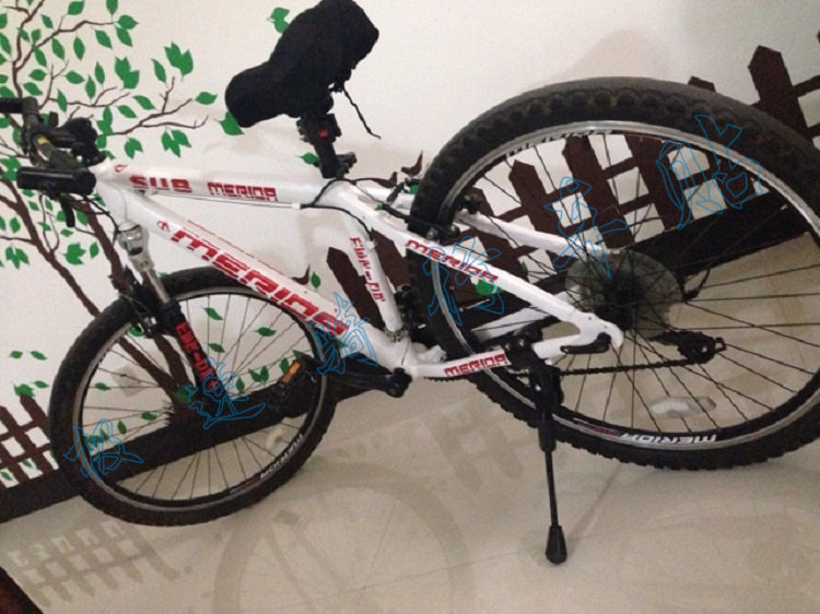 Décoration pour vélo - Ref 2282121 Image 7