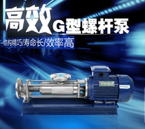 G-type screw pump sludge screw pump filter press pump food delivery pump concentrated pulp pump G20-2