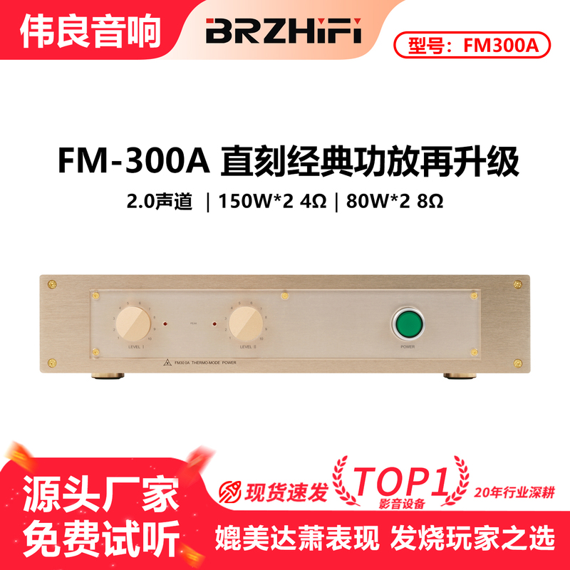 99.9% Direct Replica of Fm Aco Stics Fm300A Classic Amplifier, a Standard Model Similar to Those Sold by Xiaodaxiao