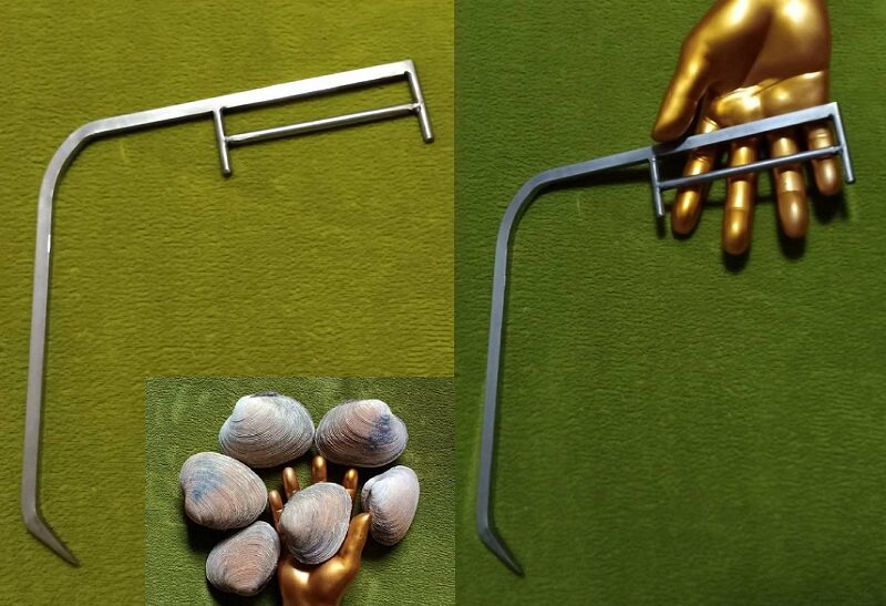 Stainless steel large clam hook swan egg hook purple room clam hook swan egg hook hook catch sea tool