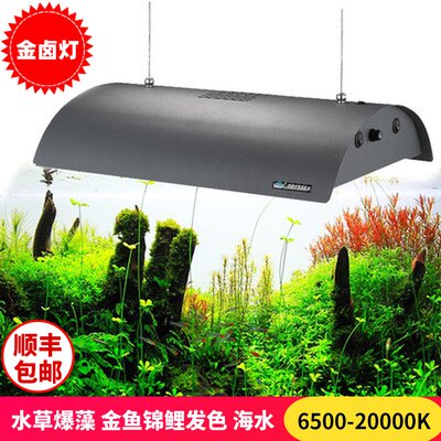 Odyssey Fish Tank Lamp Lighting Golden Halogen Lamp Brocade Carp Color Burst Algae Water Grass Seawater Gold Halogen Pendant Lamp Clip 150W
