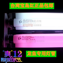 T8 dragon fish special tube fish cylinder lamp lighting Red Dragon Golden Dragon hair color enhancement diving light waterproof Taiwan Treasure Island Red