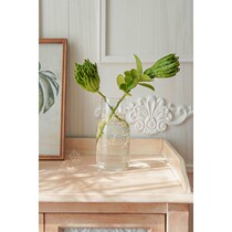 Flower summer season flower bergamot bergamot bergamot Citron flower arrangement Chinese tea room Zen flower arrangement nationwide