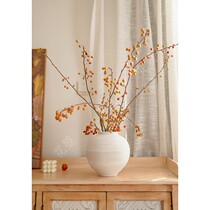 Flower Begonia fruit arrangement fresh-cut branches Water-raising flowers Pear fruit Oriental Chinese Zen flower arrangement Shunfeng