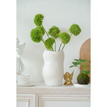 Flower Green Hair Ball Flowers Green Dianthus Flower Water hipster Green Flower Chinese Zen Flower arrangement Shunfeng