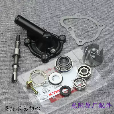 Taiwan Guangyang Original factory Rowing 250 300 XCITING Water pump shaft oil seal Water seal impeller bearing