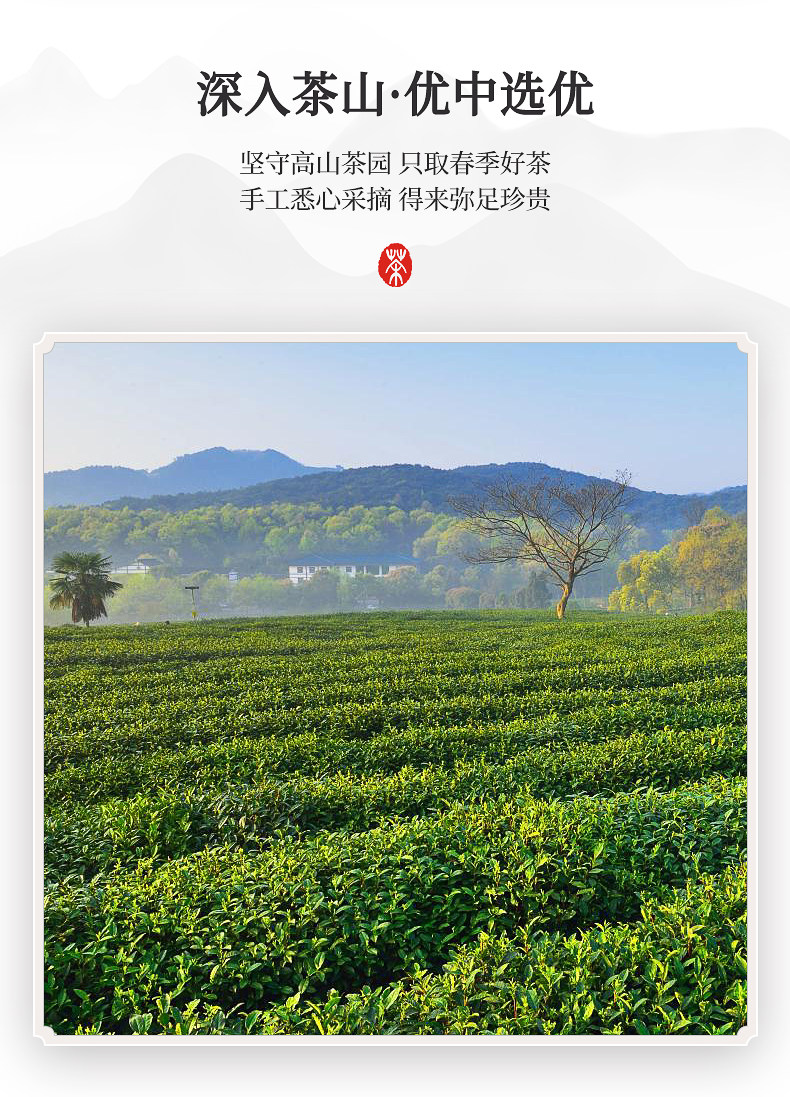 国家地理标志产品 虎标 紧压寿眉福鼎白茶饼 100g 图4