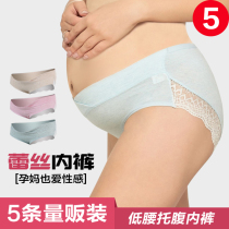 5-piece pregnant womens underwear cotton pregnancy summer low waist belly lace maternal non-antibacterial breathable underwear