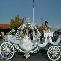 Pumpkin Christmas Princess Carriage Royal Princess Carriage Wedding Carriage Photography props can be made electric Deposit