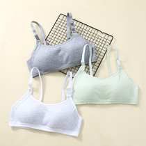 Underwear Feminists No steel ring Small breasts Gathered Pure Cotton Bra Hood Student High School Adolescent Smear adjustment Type of day ensemble bra