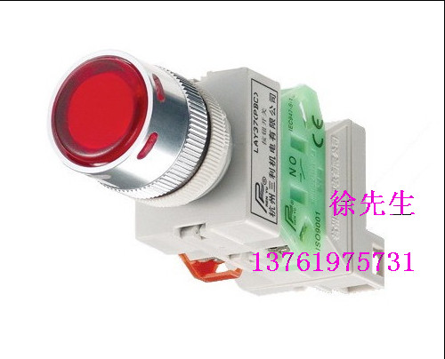 Hangzhou Sanliman Yu SANLI LAY37 (pbc) button switch E2 flat head with light button-Taobao