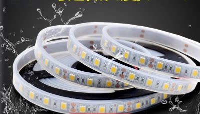 5050 12V LED strip with casing Waterproof White Green Red Warm White Blue