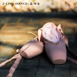 Французский Sanzhabei Shoe Ballet Dance Shoes Profession