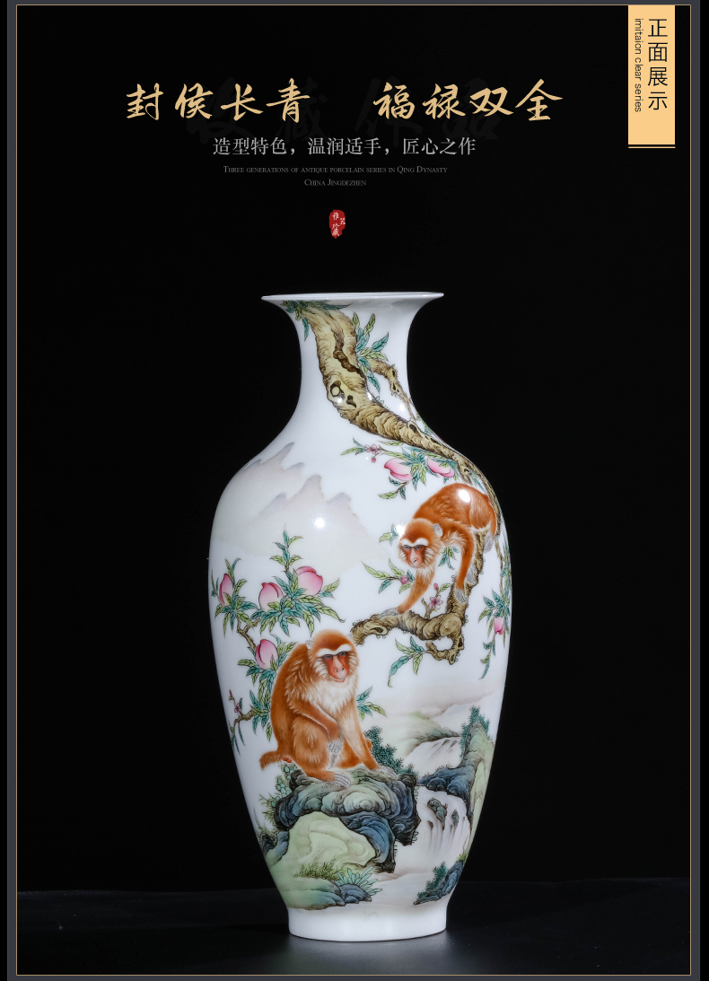 The Teacher handpainted pastel monkey sitting room porch rich ancient frame of new Chinese style decoration vase of jingdezhen ceramics furnishing articles