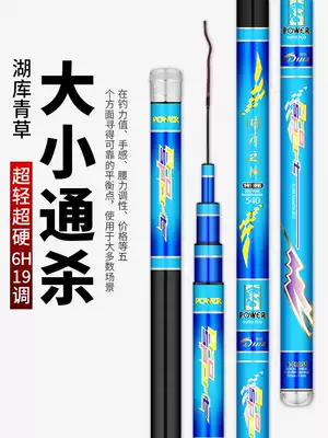 Sturgeon Shenghu God fishing rod 19 adjustment 5 4 ultra-light ultra-hard platform fishing rod hand rod fishing rod 7 2 meters 10 meters 8 1