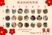 Little Red Flower - Найдите PET 40x60 см. Односторонняя складная доставка доски KT