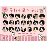 Line Line Puppy - Найдите Pet 30x40cm односторонний