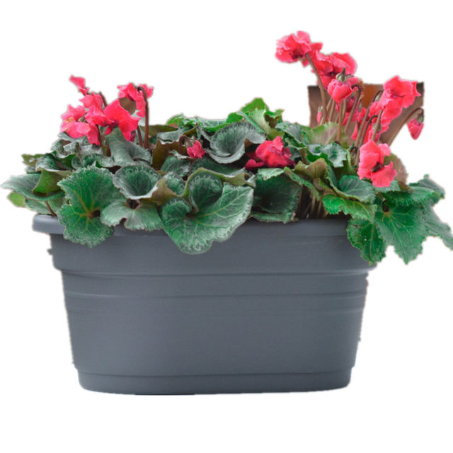 Huolun wall hanging pot plastic flower pot hanging wall ລາຄາພິເສດ pot frosted pot hanging flower planting pot hanging orchid pot hanging pot