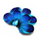 ແບບຊົນເຜົ່າ Dai peacock dance feather headdress hairpin host corsage pin insertion performance three-dimensional feather hair accessories retro