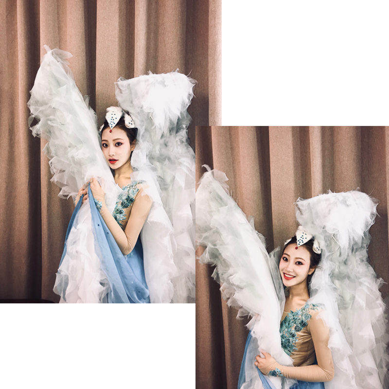 Mới clip phụ ba lê lông trắng đầu hoa phụ kiện tóc cô dâu tiara show catwalk rhinestone phụ kiện trẻ em clip tóc - Phụ kiện tóc kẹp càng cua dài