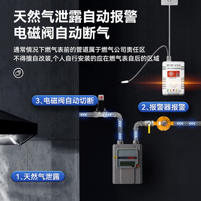 Natural Gas Alarm Household Natural Gas Leakage Automatic Cutting Valve Kitchen Air Leakage Self-Closing Valve Air Cutting Valve