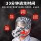Disinfection Mask, Anti-Virus and Anti-Smoke Mask, Disposable Anti-Virus Mask, Filter Anti-Virus Mask, Filter Respirator