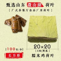 Weishan Lake new lotus leaf tea square sliced dried lotus leaf wrapped glutinous rice chicken rice steamed rice 20x20CM 100 sheets