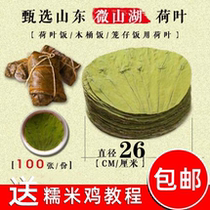 Weishan Lake whole round lotus leaf 26cm lotus leaf rice lotus leaf tea glutinous rice chicken steamer wooden barrel rice 100 pieces of rice