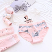 Quần lót hồng flamingo nữ cotton trung thu nữ cotton tam giác đáy quần cotton cô gái đồ lót bán buôn quần lót thun lạnh