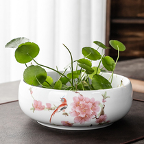 Non-porous narcissus flower pots ceramic special clearance copper money grass water lily bowl lotus home large hydroponic plant flower pots