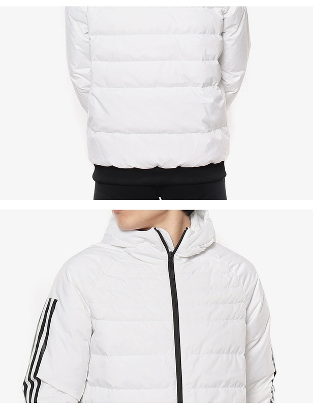 Áo khoác giữ ấm thể thao thông thường dành cho nam giới Adidas/Adidas M DOWN JKT DM5352
