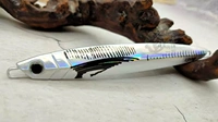 3D -печатная рыба Железная тарелка_2 Silver 150G