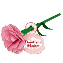 3D Paper Mold Three-dimensional Model Diy Hand Folded Paper Children Toys Emulation Plant Flowers Mothers Day Cornell