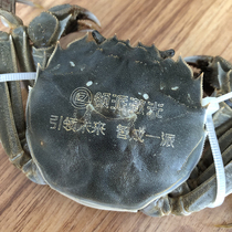 Chengdu Hairy Crab Laser Lettering Crab Laser Lettering Enterprise Festival Gift Logo Custom Engraving Process Delivery Customers