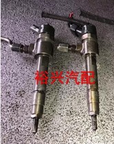 0445110187 Bosch injector Diesel injector BMW diesel injector BMW Diesel injector