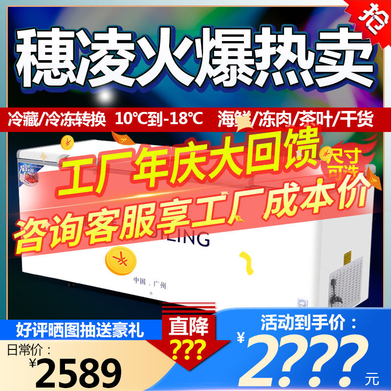 Ear Ling BD-508 Freezer Commercial Large Capacity Refrigerated Frozen Meat Single Warm Horizontal Freezer Seafood Tea Preservation Cabinet