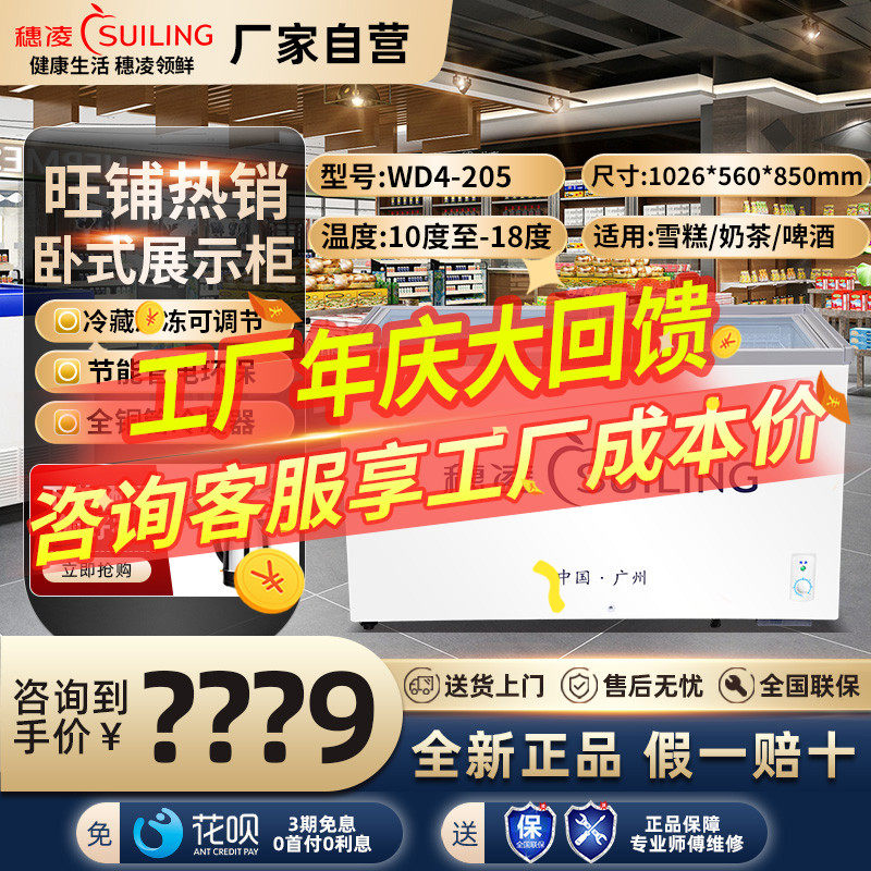 Ear Ling WD4-205 Horizontal Ice Cabinet Commercial Single-Temperature Emergency Freeze Freezer Ice Cream Freezer Drink Cabinet Frozen and refrigerated