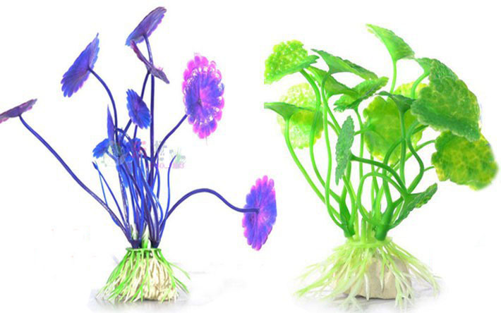 Small turtle cylinder build view small fish tank construction decoration Imitation Fake Water Grass Color Stone Rain Florite Plan Small Grass