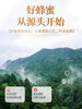 Laoshanxiang Sophora japonica flower honey 2000g natural seven-day mature honey