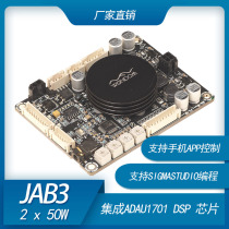 2 x 50W D class audio power amplifier with DSP electronic frequency division support Sigmastudio programming