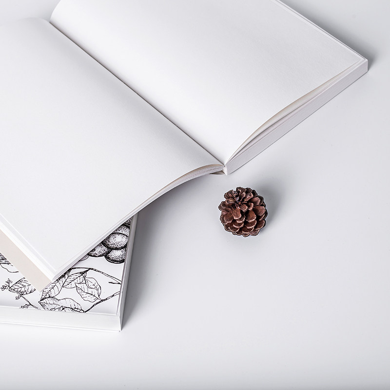 Photo props drying flower small pine cones retro pine cone ornaments ornaments Christmas shooting pose decoration food photography